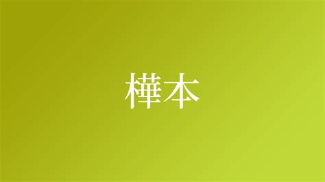 樺名字|「樺」を含む名字（苗字・名前）